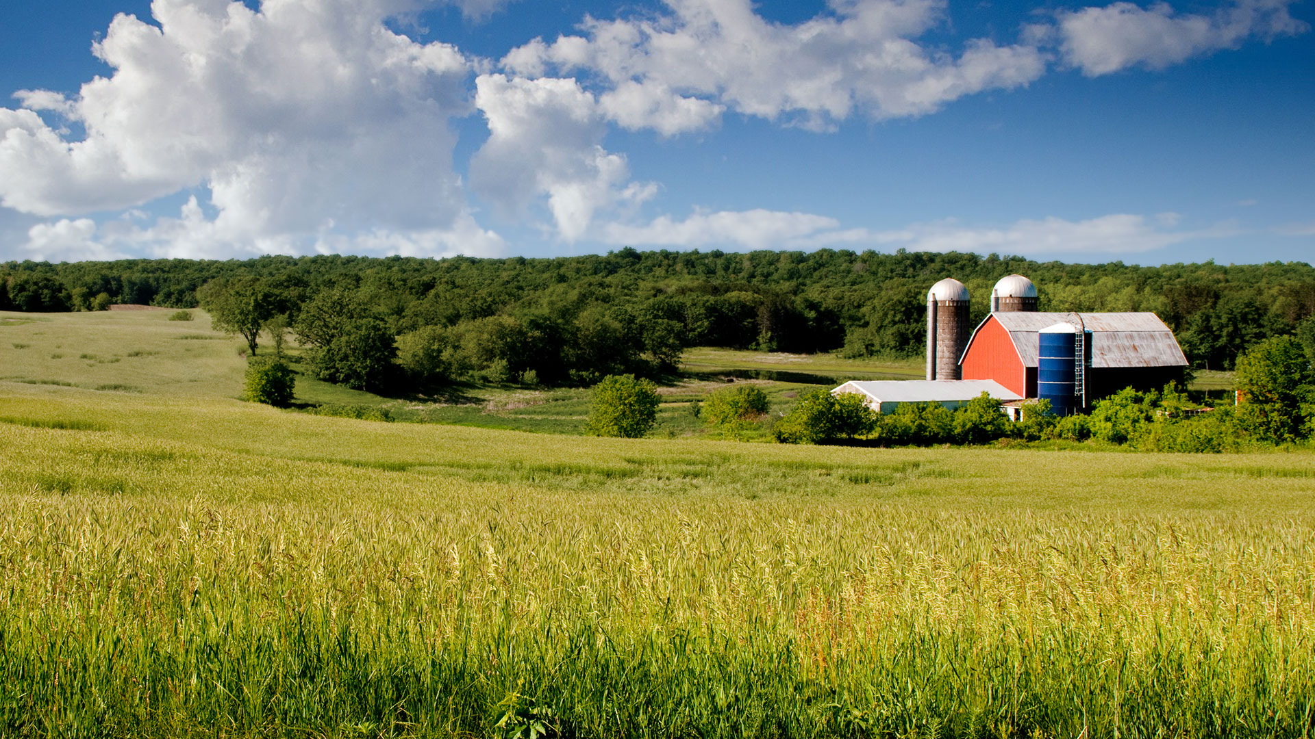 wisconsin-farm-panoramic-cheese-labels