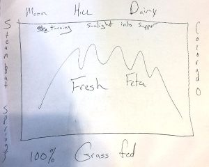 Feta Cheese label design sketch.